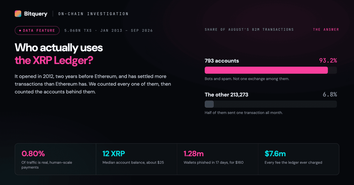 Cover Image for Who Actually Uses the XRP Ledger?