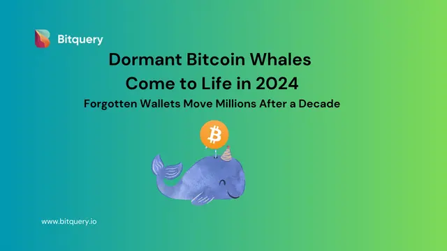 Cover Image for 10+ Year Dormant Bitcoin Whales Come to Life in 2024