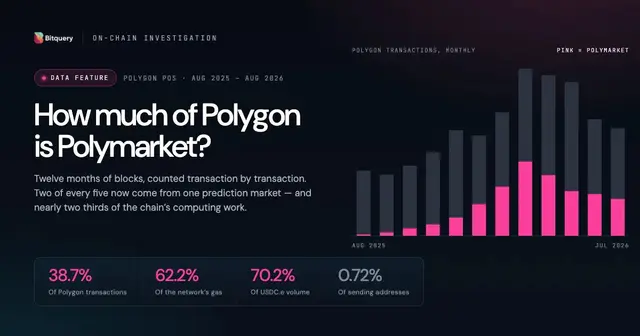 Cover Image for How Much of Polygon Is Polymarket? We Counted Every Transaction